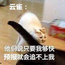 没有表情包的网红歌手,揭秘网红歌手的独特魅力